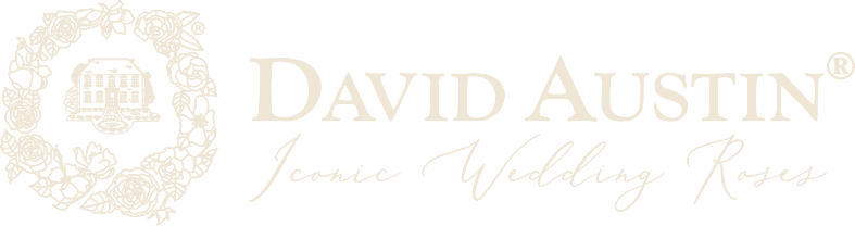 David Austin Roses