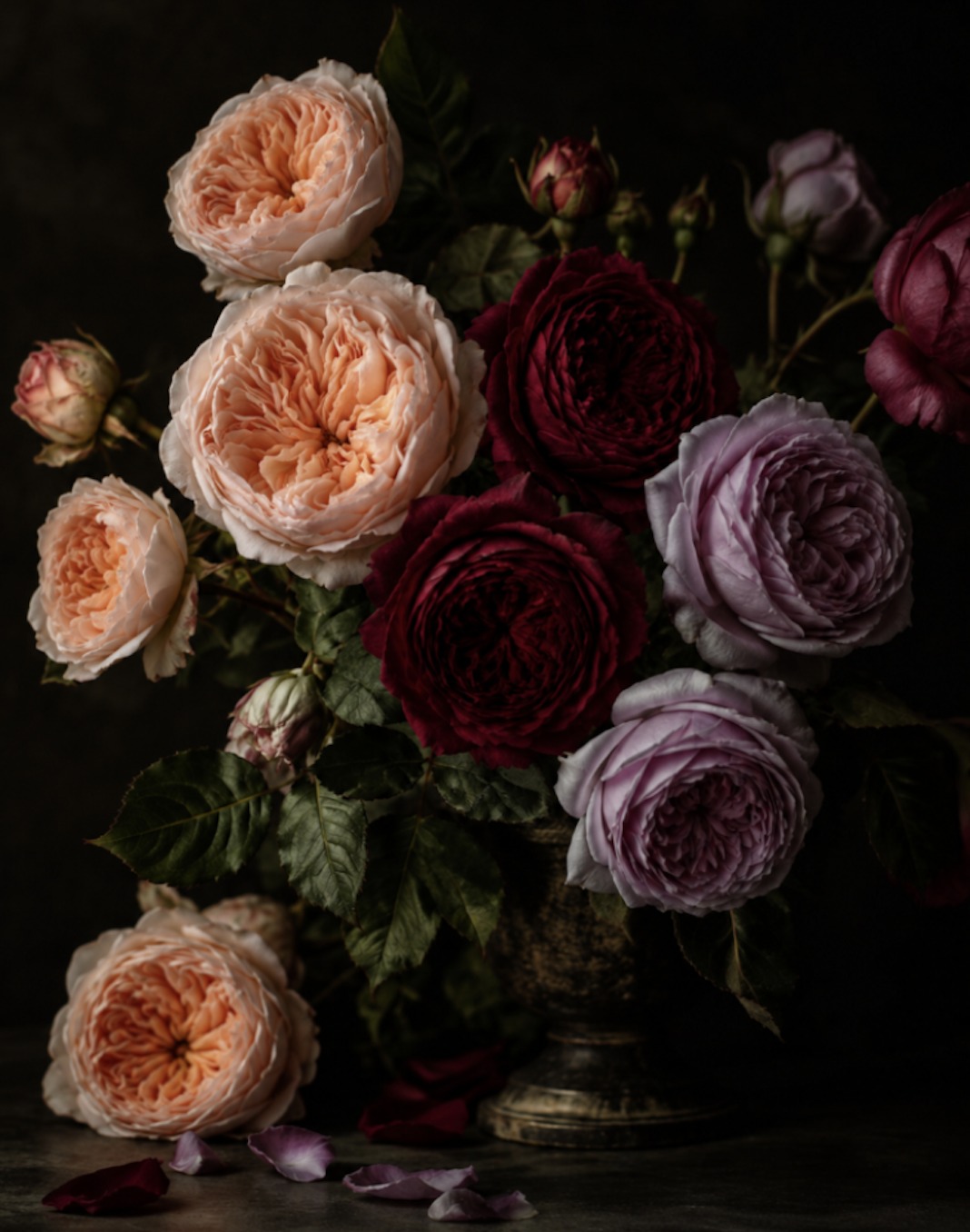 Garden roses in apricot, crimson and lilac